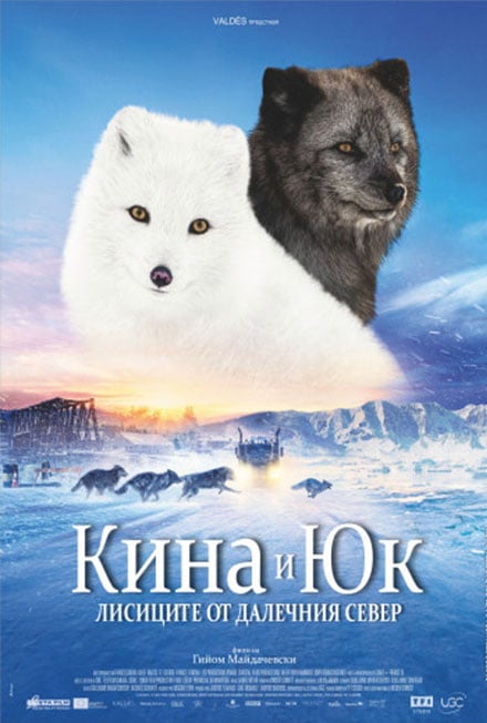 Плакат: Кина и Юк, лисиците от далечния север