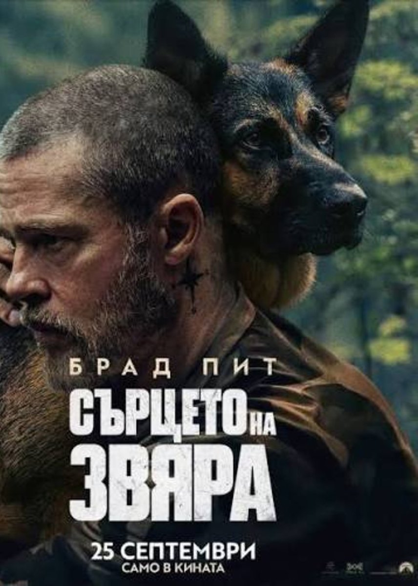 Град: Елин Пелин