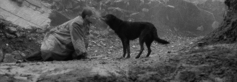 Плакат: Проклятие/ Damnation (1988)