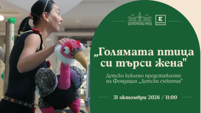 Плакат: Детско куклено представление на Фондация „Детски събития“ - „Голямата птица си търси жена“