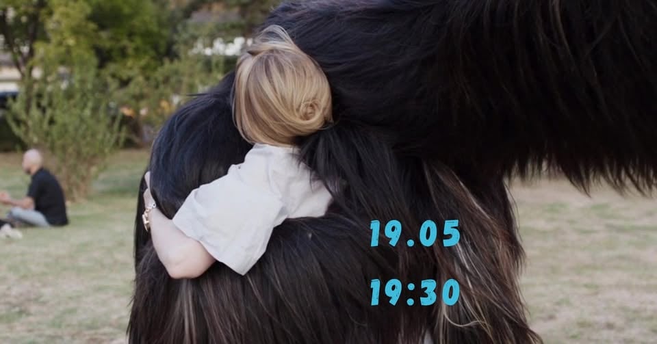 Плакат: Toni Erdmann | Тони Ердман на IPFF