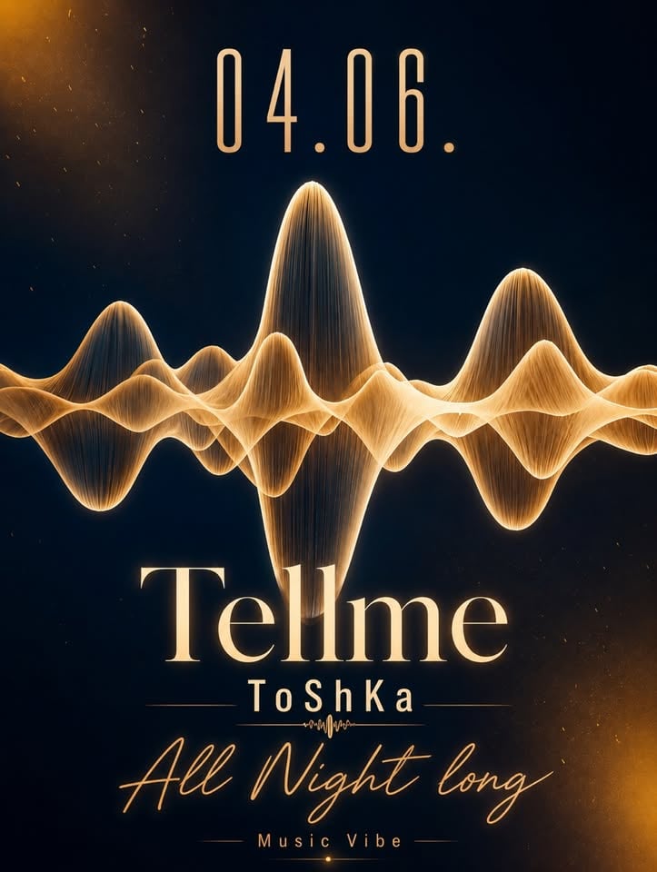 Плакат: Music Vibe with Toshka