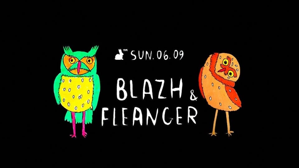Плакат: Blazh & Fleanger