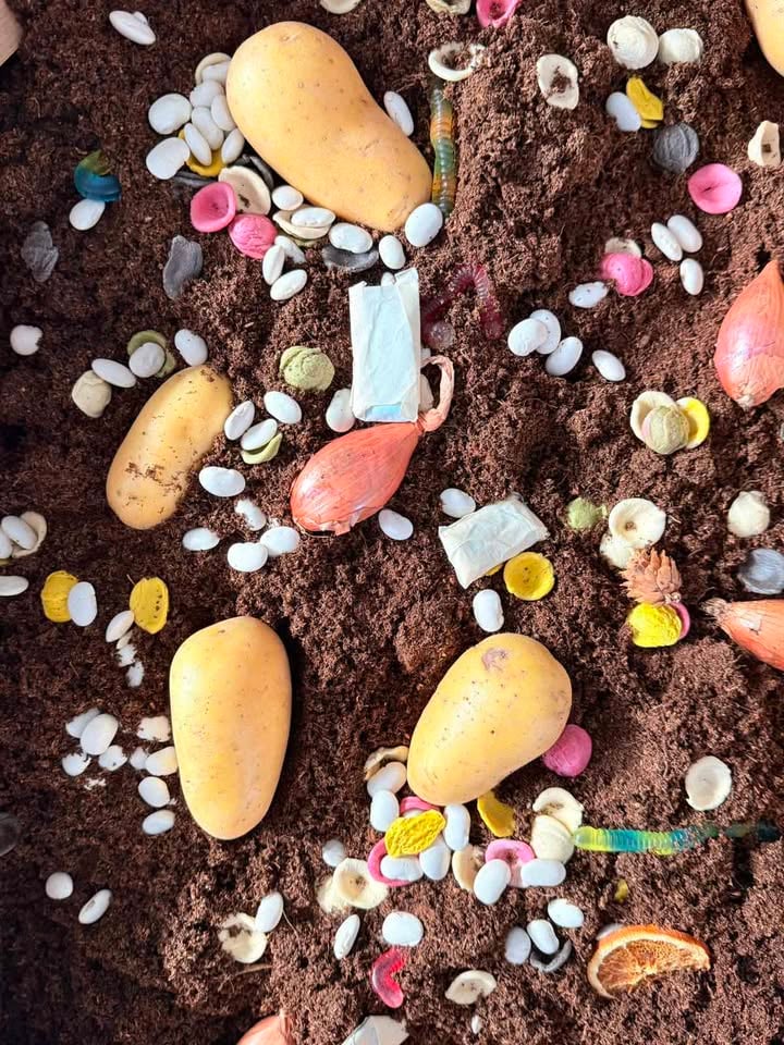 Плакат: Ден на Земята в двора на НЧ „Алеко Константинов“-1897