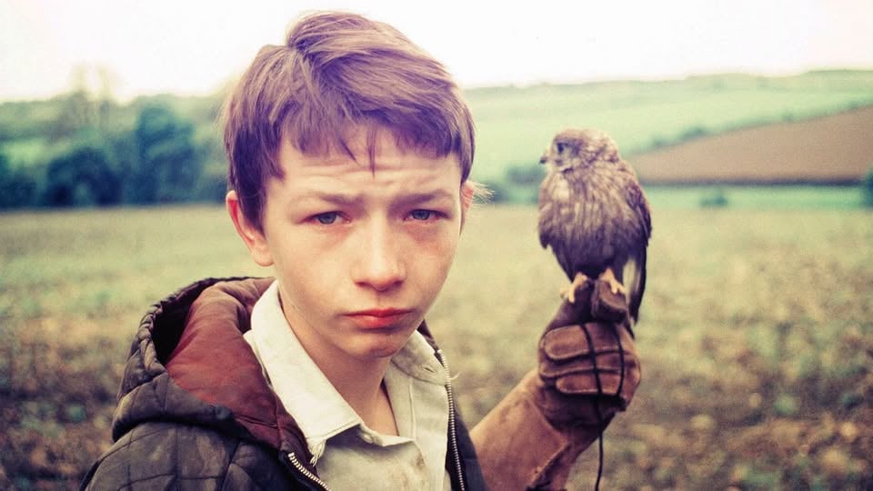 Плакат: Кес / Kes (1969) | Кен Лоуч на 90 | Британски социален реализъм