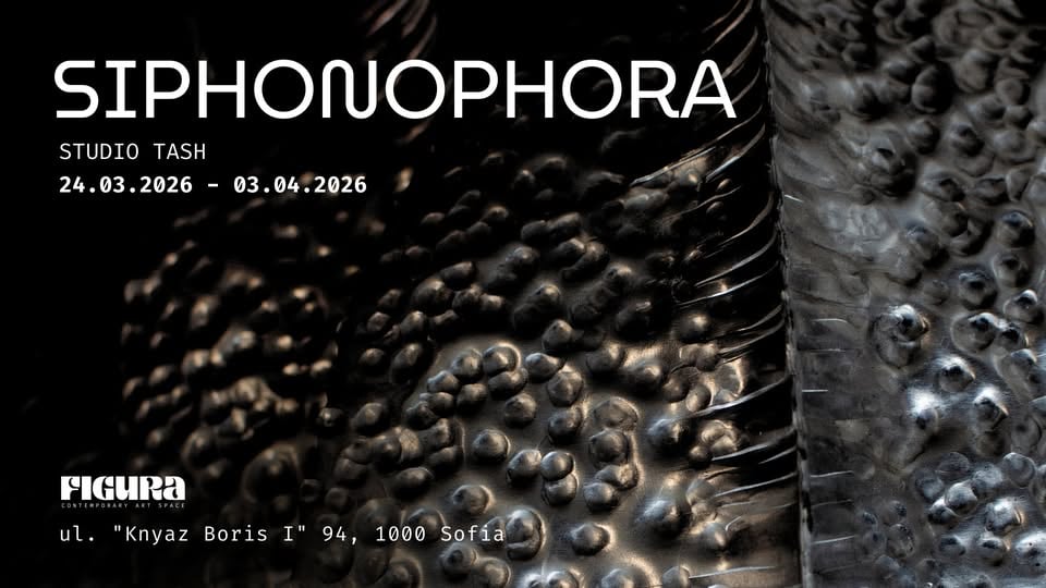 Плакат: SIPHONOPHORA - изложба STUDIO TASH