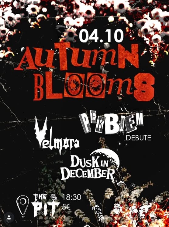 Плакат: Реквием, Dusk in December и Velmora All Ages