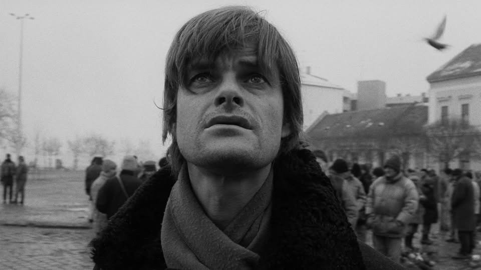 Плакат: Бела Тар: Веркмайстерови хармонии / Werckmeister harmóniák (2000) | 4К реставрация