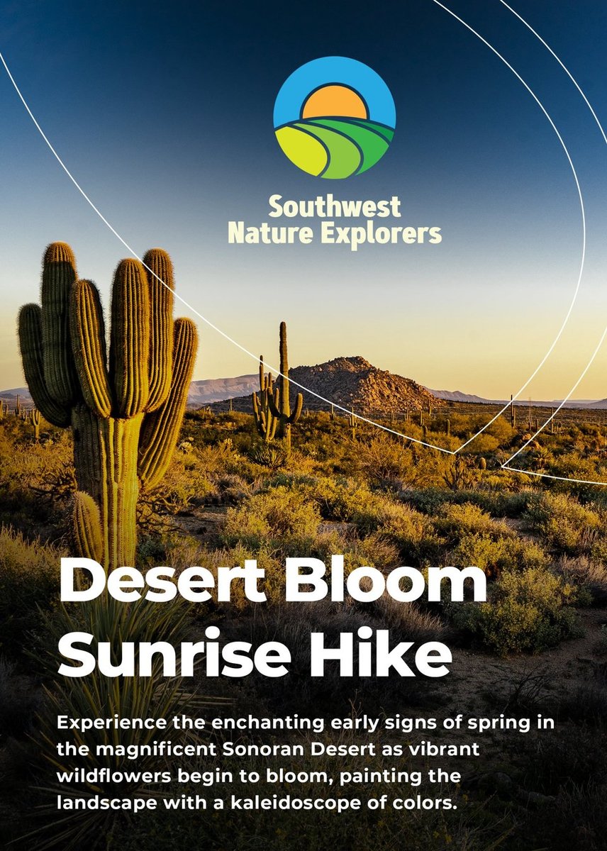 Плакат: Desert Bloom Sunrise Hike