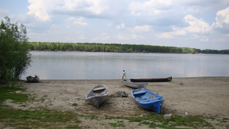Плакат: Нептунова вечер
