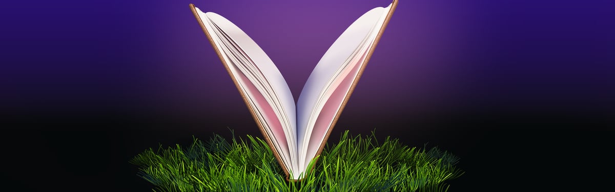 Плакат: ЗАЙЧЕНЦЕТО БЯЛО