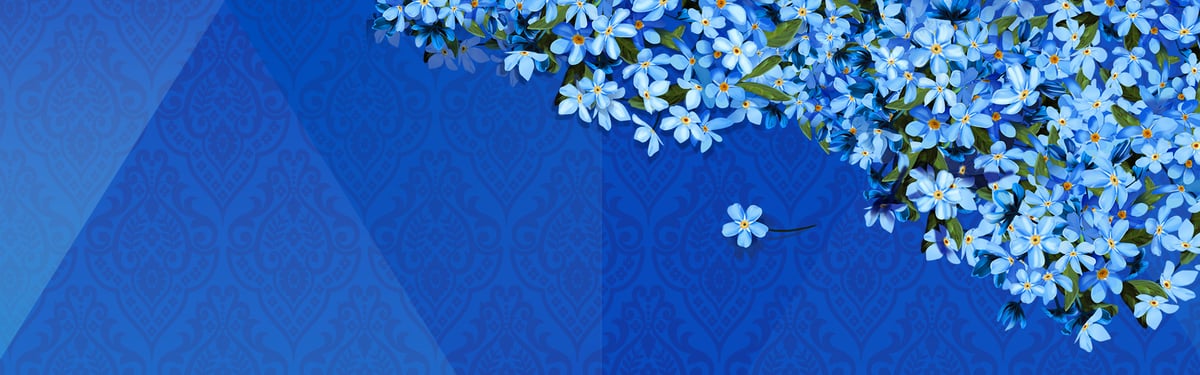 Плакат: Незабравимата оперета