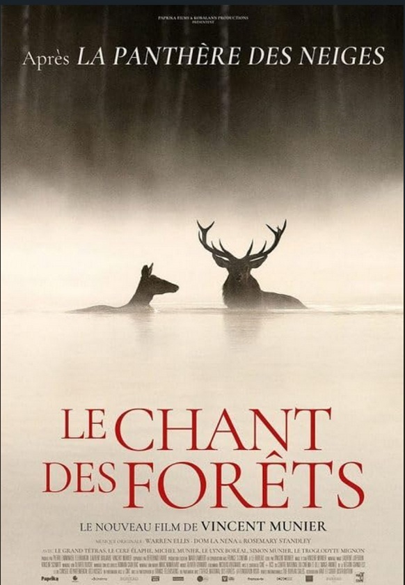 Плакат: „Магията на гората“