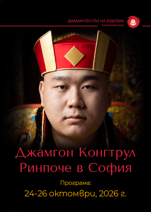 Място: гр. СОФИЯ
