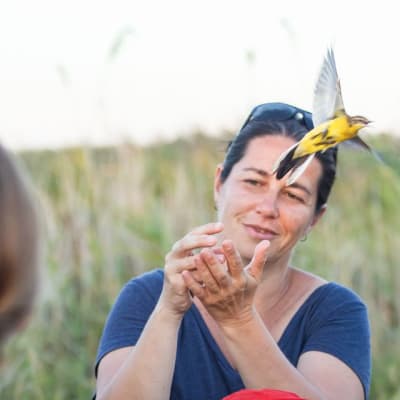 Оля Стоянова