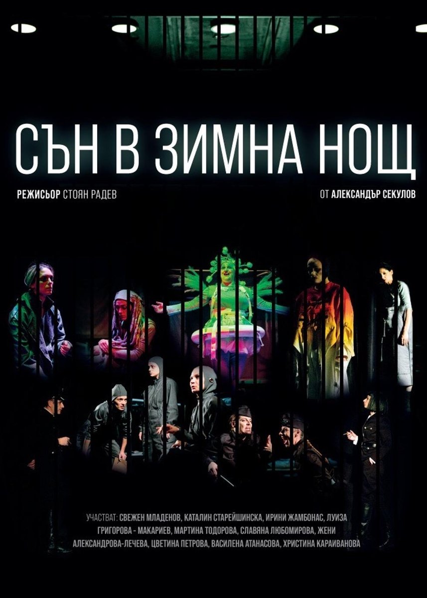 Плакат: Сън в зимна нощ