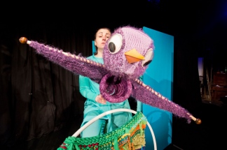 Плакат: КОСЕ БОСЕ