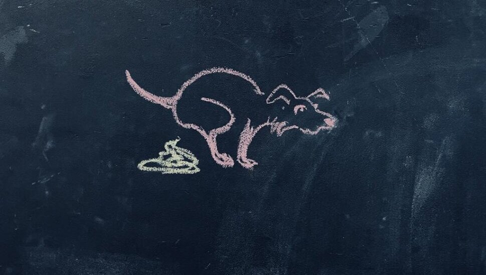 Плакат: Клетви